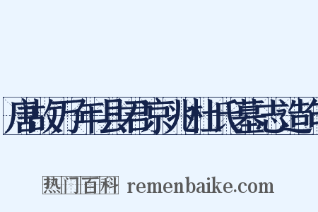 唐故万年县君京兆杜氏墓志造句是什么意思的图片